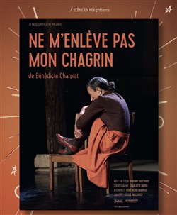 Affiche de Ne m'enlève pas mon chagrin