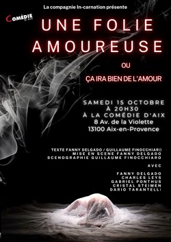 Affiche de Une folie amoureuse
