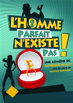 Affiche de L'homme parfait n'existe pas !