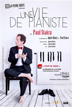 Affiche de Une vie de pianiste