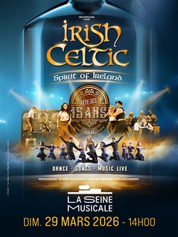 Affiche de Irish Celtic : Spirit of Ireland