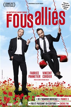 Affiche de Les Fous alliés