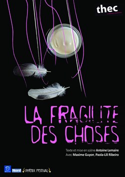 Affiche de La fragilité des choses