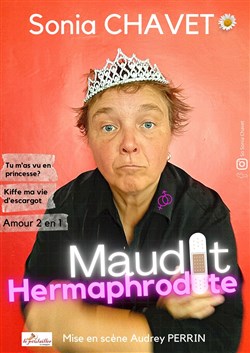 Affiche de Maudit Hermaphrodite