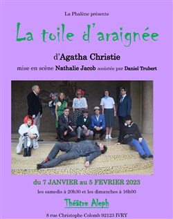 Affiche de La toile d'araignée