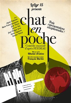 Affiche de Chat en poche