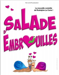 Affiche de Salade d'embrouilles