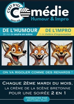Affiche de C'est d'ici comédie