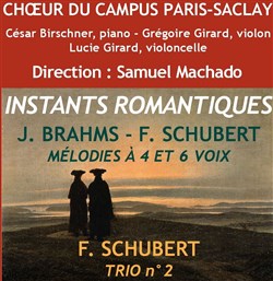 Affiche de Instants romantiques