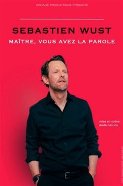 Affiche de Sébastien Wust dans Maître, vous avez la parole
