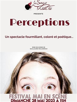 Affiche de Perceptions