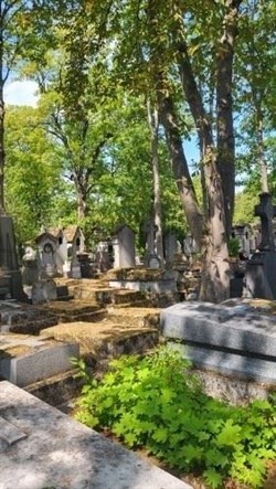 Affiche de Safari romantique et romanesque au cimetière du Père-Lachaise