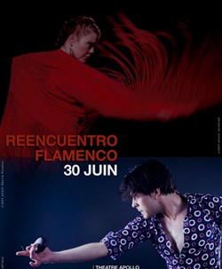 Affiche de Reencuentro flamenco
