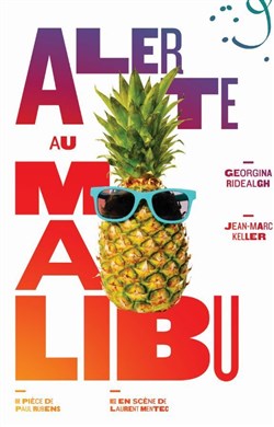 Affiche de Alerte au Malibu