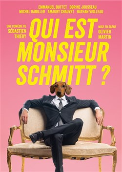 Affiche de Qui est Monsieur Schmitt ?
