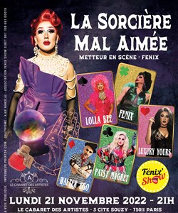 Affiche de La sorcière mal aimée