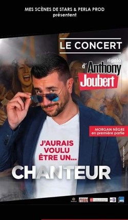 Affiche de Anthony Joubert : Le concert... rigolo