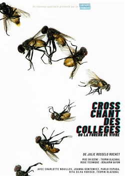 Affiche de Cross chant des collèges