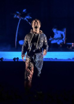 Affiche de Le poids des fourmis