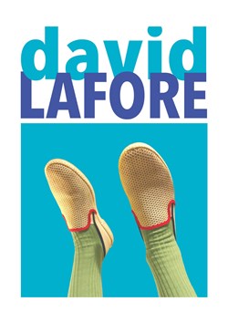 Affiche de David Lafore