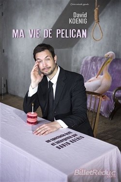 Affiche de Ma vie de pélican
