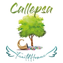 Affiche de Callepsa Duo accoustique