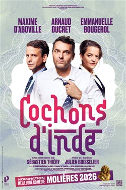 Affiche de Cochons d'Inde
