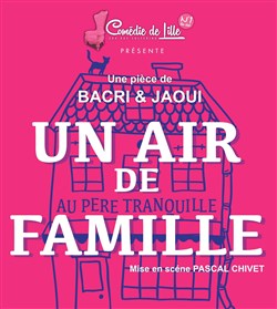 Affiche de Un air de famille !