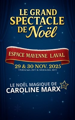 Affiche de Le Noël magique de Caroline Marx