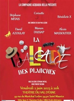 Affiche de La ballade des planches