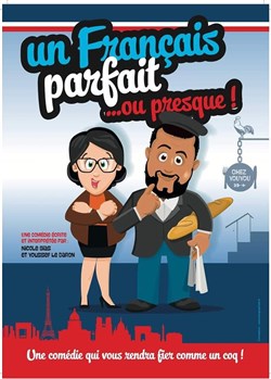 Affiche de Un français parfait... ou presque !