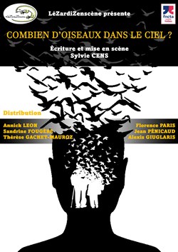 Affiche de Combien d'oiseaux dans le ciel ?