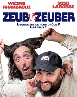 Affiche de Zeub and Zeuber