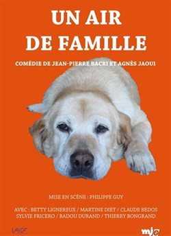 Affiche de Un air de famille
