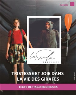 Affiche de Tristesse et joie dans la vie des girafes