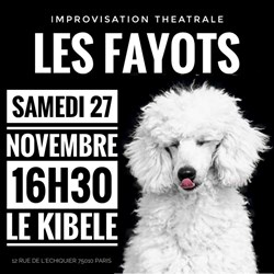 Affiche de Fayots are back on stage