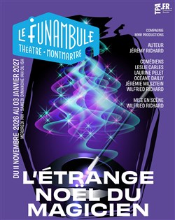 Affiche de L'étrange noël du magicien