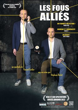 Affiche de Les fous alliés