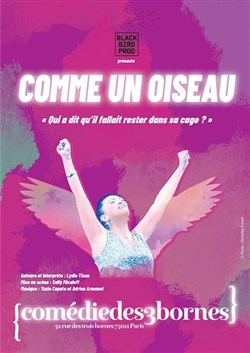 Affiche de Lydie Tison dans Comme un oiseau