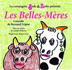 Affiche de Les Belles-Mères
