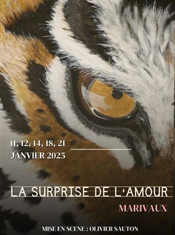 Affiche de La surprise de l'amour