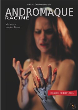 Affiche de Andromaque