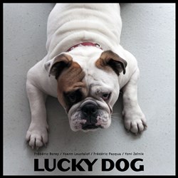 Affiche de Lucky Dog