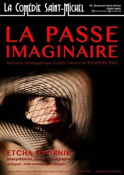 Affiche de La Passe imaginaire
