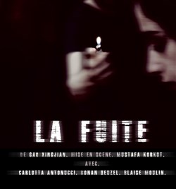 Affiche de La Fuite