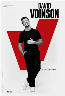 Affiche de David Voinson