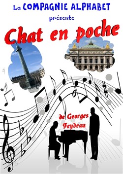 Affiche de Chat en poche