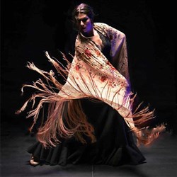 Affiche de Tablao Flamenco