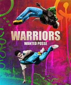Affiche de Warriors