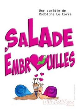 Affiche de Salade d'embrouilles